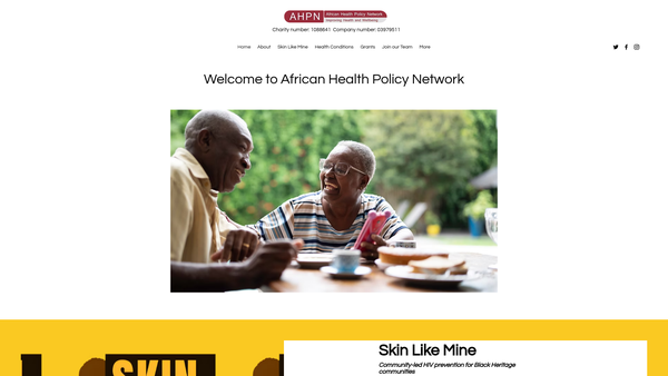 Screenshot of the African Health Policy Network website