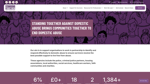 Screenshot of the Standing Together Against Domestic Abuse website