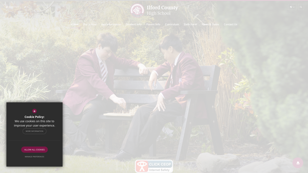 Screenshot of the Ichs Development Limited website