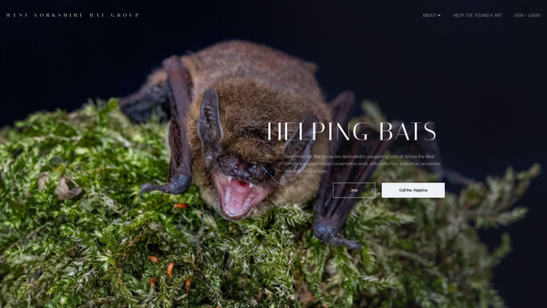 Screenshot of the West Yorkshire Bat Group website