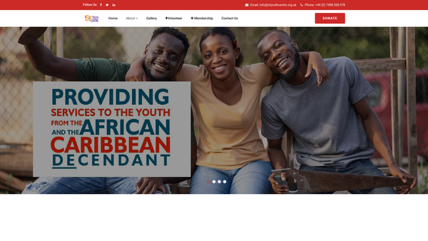 Screenshot of the Sf Youth Centre (Sfyc) website