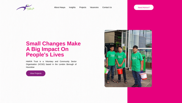 Screenshot of the Hounslow Asian And African Youth Association website
