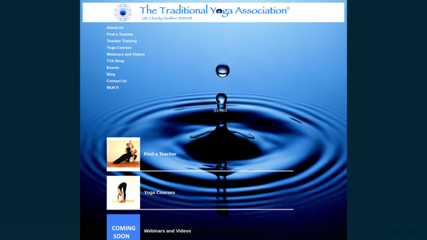 Screenshot of the The Traditional Yoga Association website