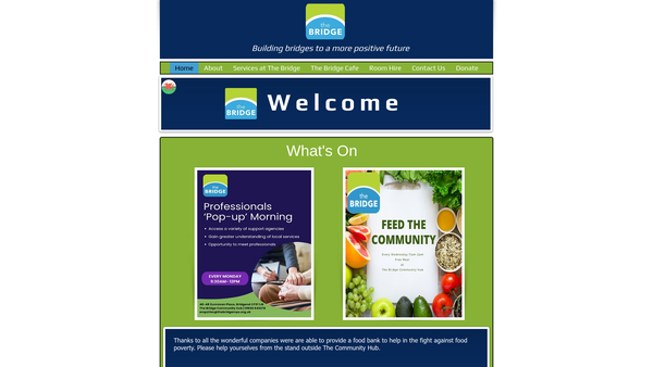 Screenshot of the Bridge Mentoring Plus Scheme website