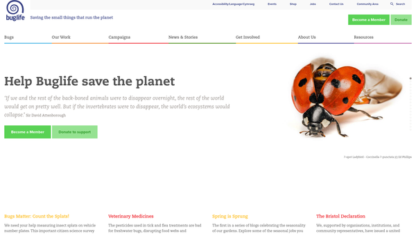 Screenshot of the Buglife The Invertebrate Conservation Trust website