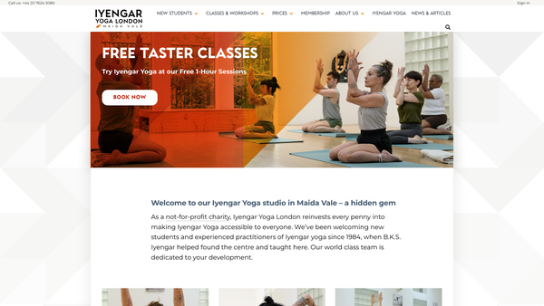 Screenshot of the Iyimv website