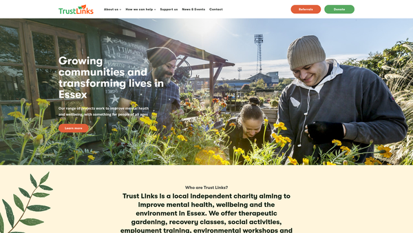 Screenshot of the Trust Links Limited website