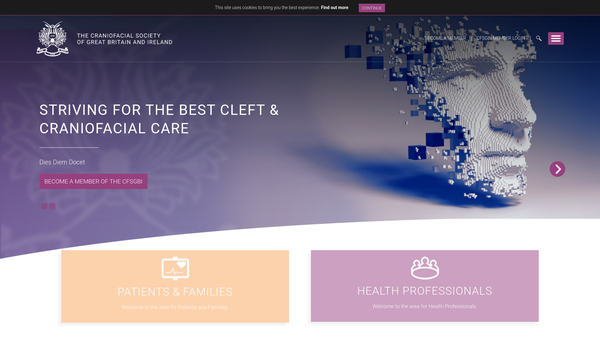 Screenshot of the Cfsgbi Ltd website