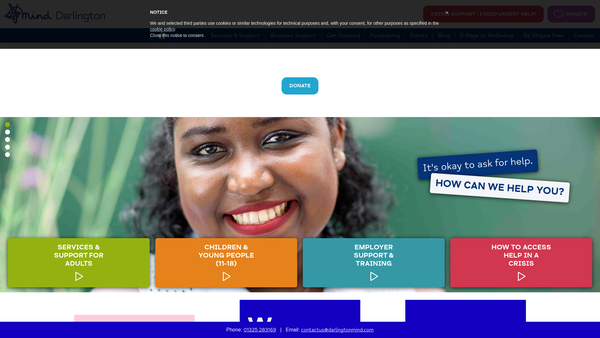 Screenshot of the Darlington Mind website