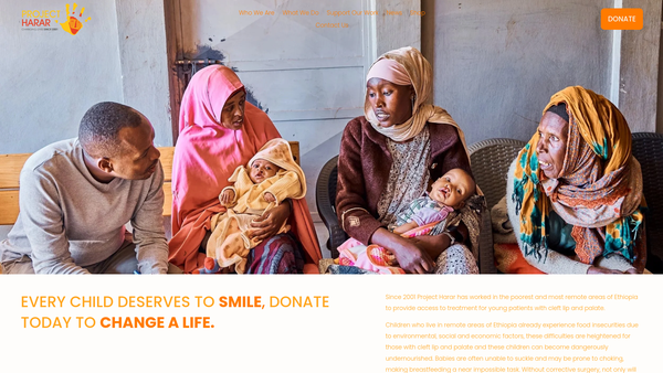 Screenshot of the Project Harar website