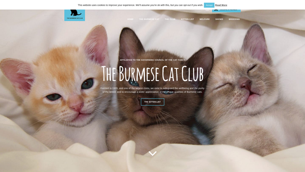 Screenshot of the The Burmese Cat Club Benevolent Fund website