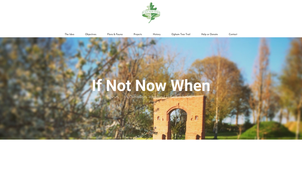 Screenshot of the If Not Now When website