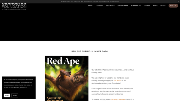 Screenshot of the Orangutan Foundation website