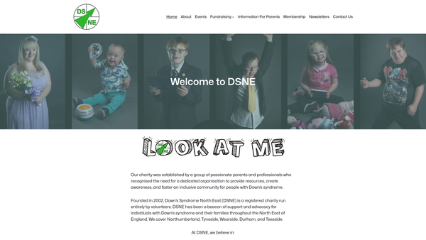 Screenshot of the Down's Syndrome North East website