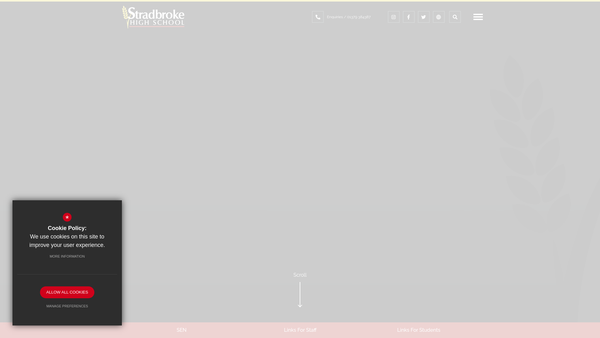Screenshot of the Friends Of Stradbroke High website