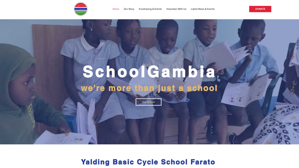 Screenshot of the Schoolgambia website