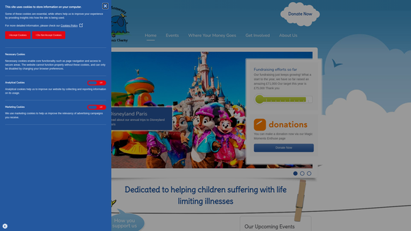 Screenshot of the Magic Moments website