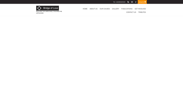 Screenshot of the Bridge Of Love Trust website