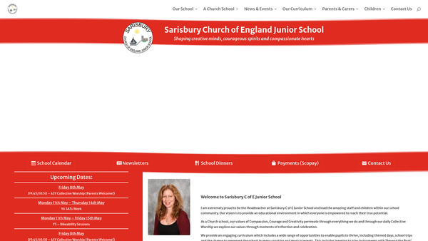Screenshot of the Parents And Friends Of Sarisbury Junior School website