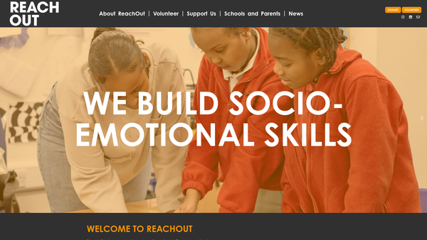 Screenshot of the Reachout Youth website
