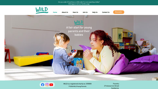Screenshot of the Wild Young Parents Project website