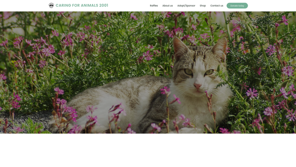 Screenshot of the Caring For Animals 2001 website