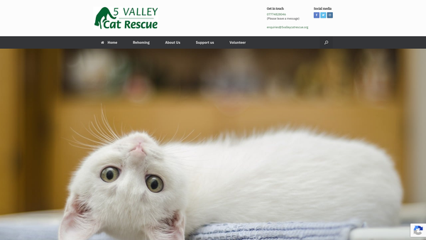 Screenshot of the 5 Valley Cat Rescue website