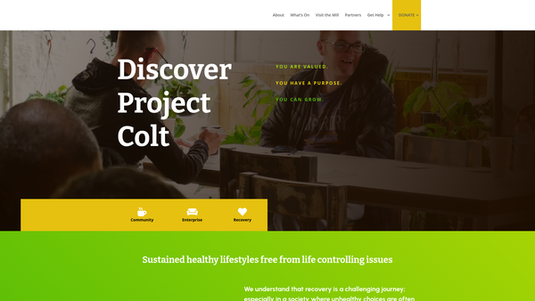 Screenshot of the Project Colt website