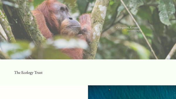 Screenshot of the The Ecology Trust website