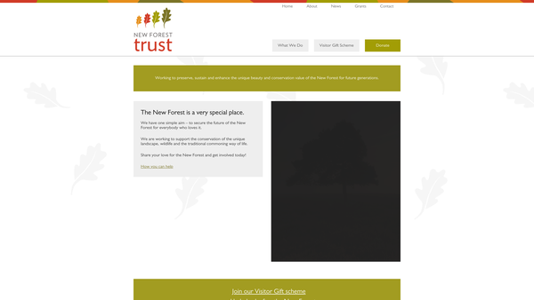 Screenshot of the New Forest Trust website