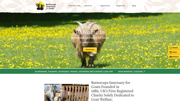 Screenshot of the Buttercups Sanctuary For Goats website