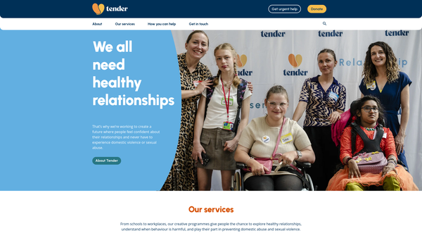 Screenshot of the Tender Education And Arts website