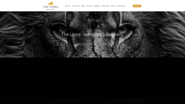 Screenshot of the Imagine The Day Limited website