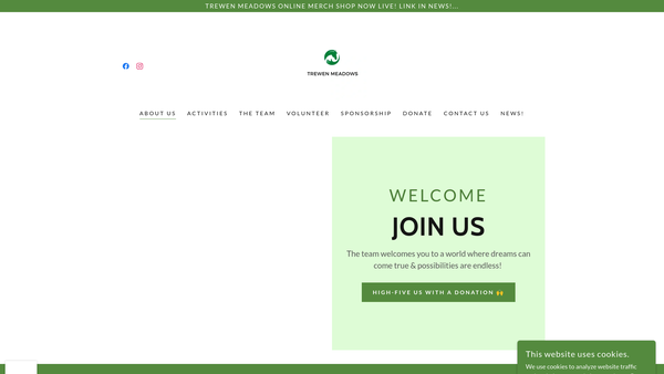 Screenshot of the Trewen Meadows website