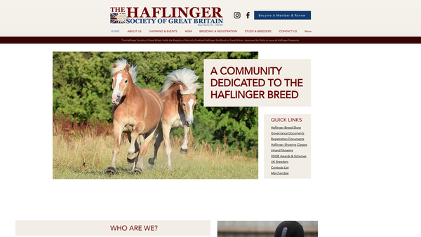 Screenshot of the The Haflinger Society Of Great Britain website