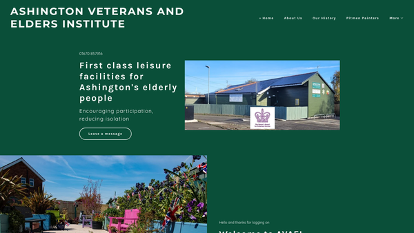 Screenshot of the Ashington Veterans And Elders Institute website