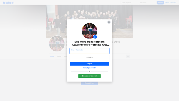 Screenshot of the Northern Academy Of Performing Arts website