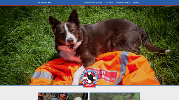 Screenshot of the Nsarda Kent website
