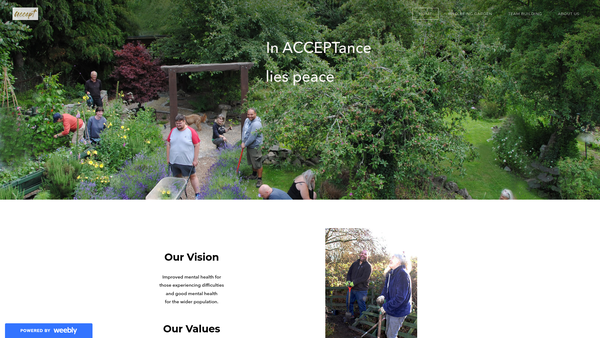 Screenshot of the Accept website