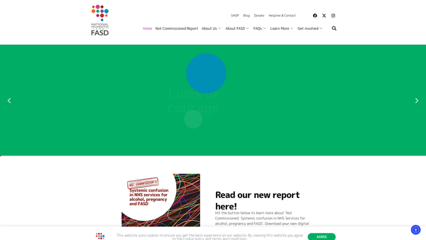 Screenshot of the The National Organisation for FASD website