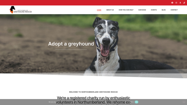 Screenshot of the Northumberland Greyhound Rescue website