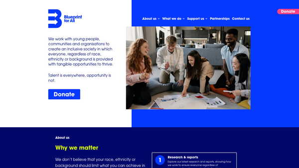 Screenshot of the Blueprint for All website