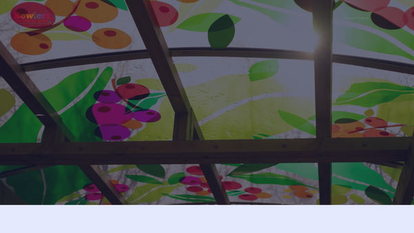 Screenshot of the Bowlers Community Nursery website