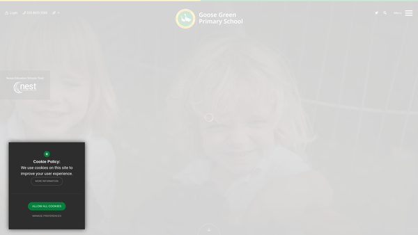 Screenshot of the Friends Of Goose Green School website