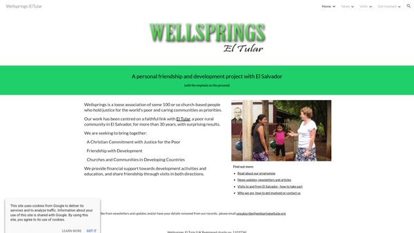 Screenshot of the Wellsprings El Tular website