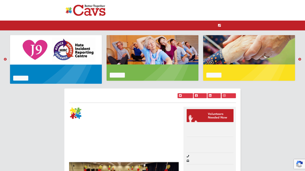 Screenshot of the Castle Point Association Of Voluntary Services Limited website