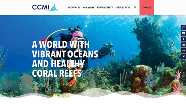 Screenshot of the Ccmi UK website