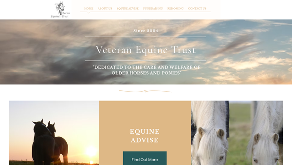 Screenshot of the The Veteran Equine Trust Limited website
