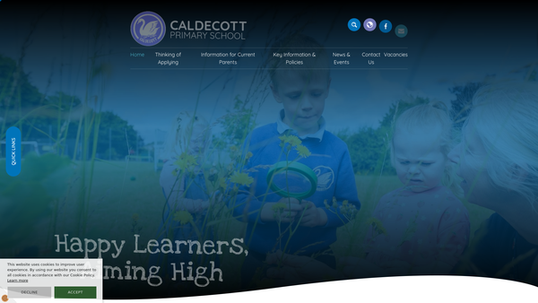 Screenshot of the The Friends Of Caldecott Primary School website