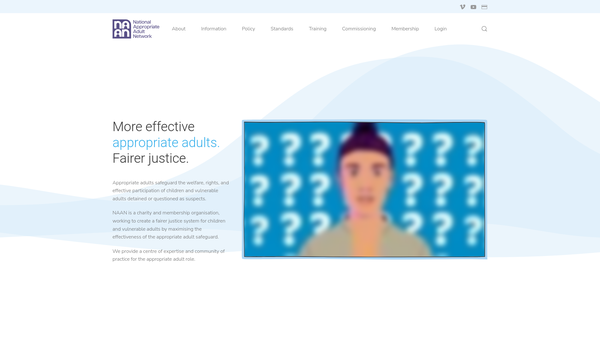Screenshot of the The National Appropriate Adult Network Limited website